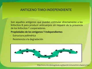 ANTIGENO TIMO-INDEPENDIENTE 
Son aquellos antígenos que pueden estimular directamente a los 
linfocitos B para producir anticuerpos sin requerir de la presencia 
de los linfocitos T cooperadores. 
Propiedades de los antígenos T-independientes 
 Estructura polimérica 
 Resistencia a la degradación 
http://www.microbiologybook.org/Spanish-immuno/imm-chapter3.htm 
 
