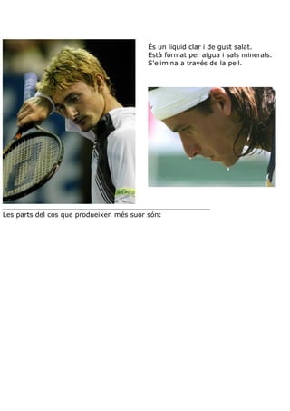 Teoria aparell excretor