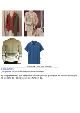 Teoria aparell excretor