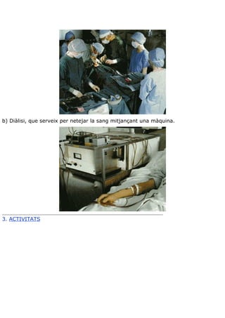 Teoria aparell excretor