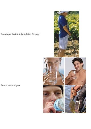 Teoria aparell excretor