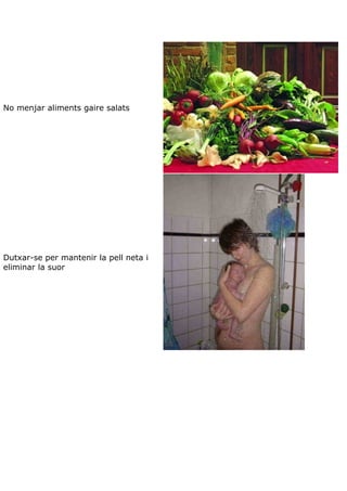 Teoria aparell excretor