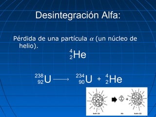 Desintegración Alfa:
Pérdida de una partícula α (un núcleo de
helio).
He
4
2
U
238
92
→ U
234
90 He
4
2+
 