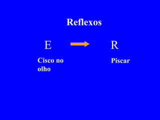 Reflexos  E  R Cisco no olho Piscar 