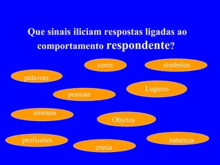 Que sinais iliciam respostas ligadas ao comportamento  respondente ?  palavras pessoas cores Lugares  Objetos  animais etinia natureza símbolos profissões 