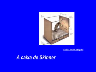 A caixa de Skinner Fonte: www6.ufrgs.br   