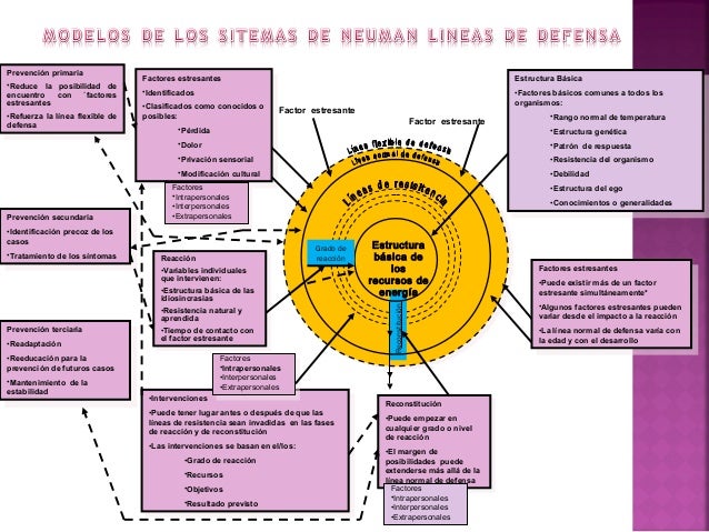 Descubre la Teoría de Neuman: Una guía completa para entenderla_teoria_online Teoria de neuman_teoria_online