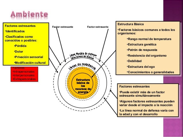 La teoría de Betty Neuman: Una visión innovadora de la enfermería_teoria_online Teoria clasica_teoria_online