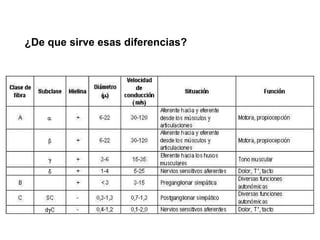 ¿De que sirve esas diferencias? 