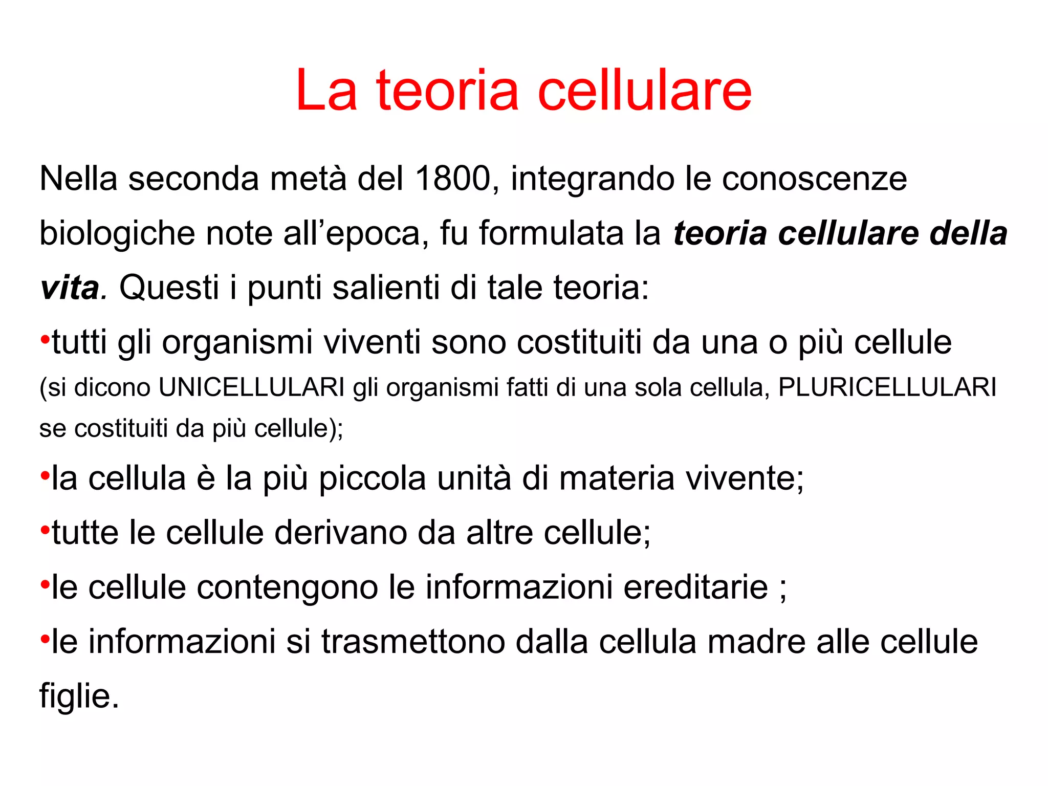 Schemi biologia 3 | PPT