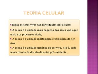 Todos os seres vivos são constituídos por células;
A célula é a unidade mais pequena dos seres vivos que
realiza os processos vitais;
A célula é a unidade morfológica e fisiológica do ser
vivo;
A célula é a unidade genética do ser vivo, isto é, cada
célula resulta da divisão de outra pré-existente.
 