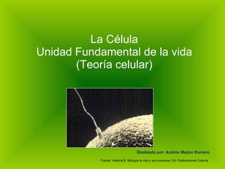 La Célula Unidad Fundamental de la vida (Teoría celular) Realizada por: Andrés Mejías Romero Fuente: Valdivia B. Biología la vida y sus procesos. Ed. Publicaciones Cultural 