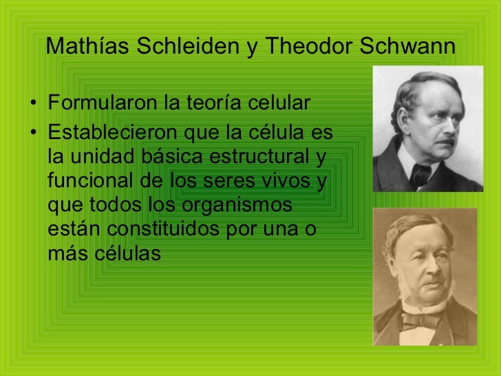 Teoría celular Teoría celular
