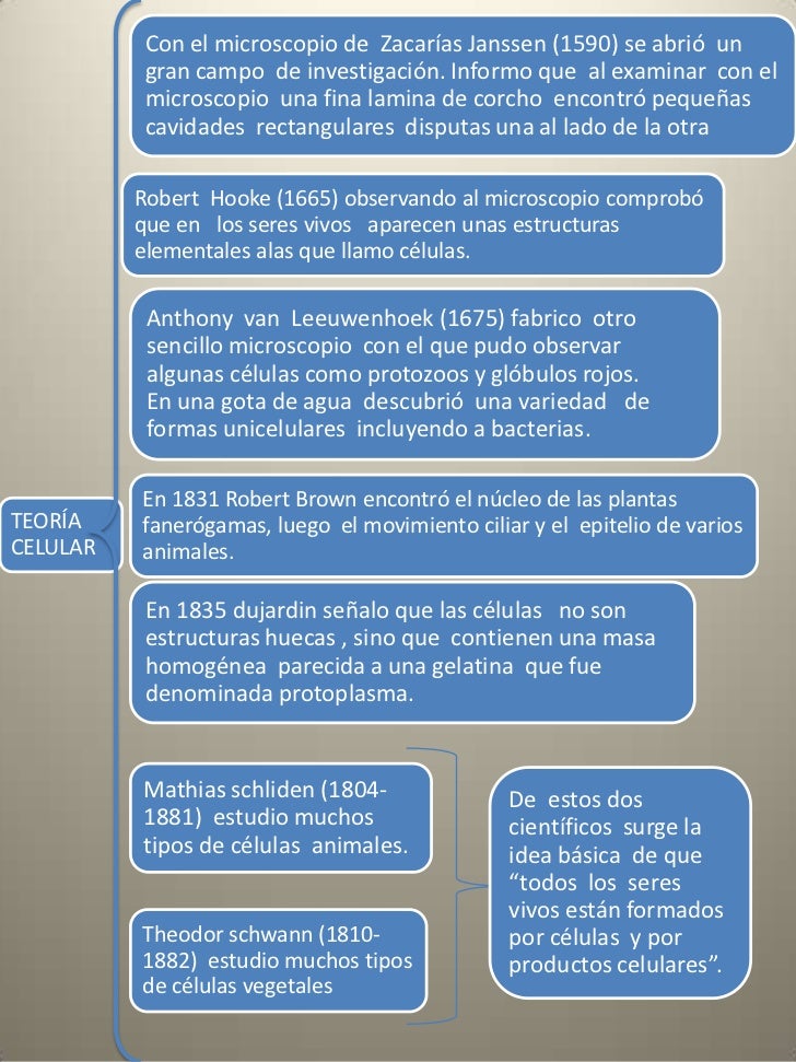Teoria celular