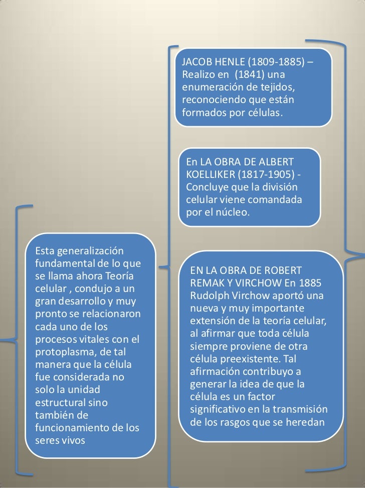 Teoria celular