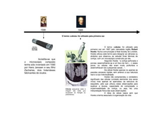 Acredita-se que
o microscópio composto
tenha sido inventado em 1590
por Hans Janssen e seu fiIho
Zacharias, dois holandeses
fabricantes de óculos.
1590 1665
O termo «célula» foi utilizado pela
primeira vez em 1667 pelo naturalista inglês Robert
Hooke. Numa comunicação à Real Society de Londres,
Hooke utilizou este termo para designar as câmaras ou
alvéolos que observou ao estudar finas lâminas de
cortiça, com um microscópio construído por ele.
Segundo Hooke “a cortiça perfurada e
porosa, assemelhando-se a um favo de mel (…); esses
poros, ou células não eram muito profundos e
assemelhavam-se a pequenas caixas…”.
Da célula Hooke apenas viu apenas as
paredes celulares rígidas, sem antever a sua natureza
real e a sua individualidade.
Hooke não compreendeu o verdadeiro
significado das células (unidade elementar dos seres
vivos) mas apenas se apercebeu da estrutura do
esqueleto, pelo que utilizou estas observações para
explicar a leveza, capacidade de compressão e
impermeabilidade da cortiça, ou seja, fez uma
interpretação física das suas observações.
A ideia de célula nasce sem que
Hooke a tenha associado à organização da vida.
Células (pequenas celas à
imagem das celas que
ocupavam os monges ou
prisioneiros).
O termo «célula» foi utilizado pela primeira vez
 