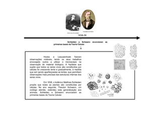 Hooke e Leeuwenhoek fizeram
observações notáveis, tendo os seus trabalhos
encorajado outros a utilizar o microscópio na
observação de material biológico. A hipótese que
supõe que todos os seres vivos são constituídos por
células foi crescendo lenta e gradualmente, à medida
que iam sendo aperfeiçoadas as lentes, que permitiam
observações mais precisas das estruturas internas dos
seres vivos.
Em 1838, o botânico Matthias Schleiden
propôs que todas as plantas são constituídas por
células. No ano seguinte, Theodor Schwann, um
zoólogo alemão, estendeu esta generalização aos
animais. Schleiden e Schwann enunciaram as
primeiras bases da Teoria Celular.
1838-39
Schleiden e Schwann enunciaram as
primeiras bases da Teoria Celular.
 