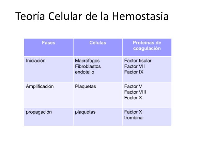 Teoria celular
