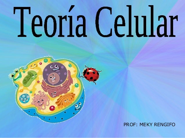 Dibujos de Teoría Celular: Una forma visual de entenderla_teoria_online Teoria celular dibujos_teoria_online