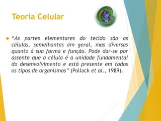Teoria Celular
“As partes elementares do tecido são as
células, semelhantes em geral, mas diversas
quanto à sua forma e função. Pode dar-se por
assente que a célula é a unidade fundamental
do desenvolvimento e está presente em todos
os tipos de organismos” (Pollack et al., 1989).
