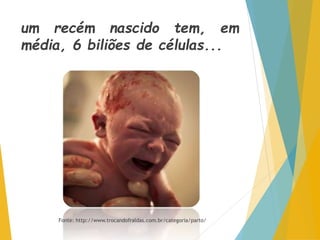 um recém nascido tem, em
média, 6 biliões de células...
Fonte: http://www.trocandofraldas.com.br/categoria/parto/
