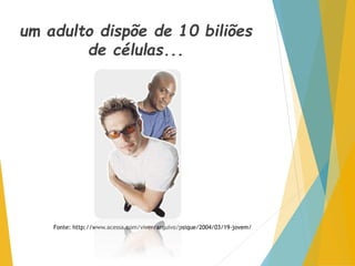 um adulto dispõe de 10 biliões
de células...
Fonte: http://www.acessa.com/viver/arquivo/psique/2004/03/19-jovem/
