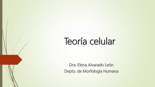 Teoría celular
Dra. Elena Alvarado León
Depto. de Morfología Humana
 