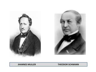 JHANNES MULLER THEODOR SCHWANN
 