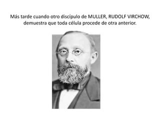 Más tarde cuando otro discípulo de MULLER, RUDOLF VIRCHOW,
demuestra que toda célula procede de otra anterior.
 