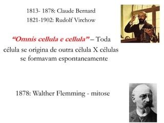1813- 1878: Claude Bernard
1821-1902: Rudolf Virchow
“Omnis cellula e cellula” – Toda
célula se origina de outra célula X células
se formavam espontaneamente
1878: Walther Flemming - mitose
 