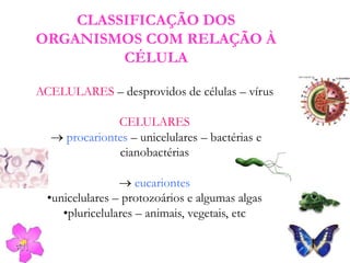 CLASSIFICAÇÃO DOS
ORGANISMOS COM RELAÇÃO À
CÉLULA
ACELULARES – desprovidos de células – vírus
CELULARES
 procariontes – unicelulares – bactérias e
cianobactérias
 eucariontes
•unicelulares – protozoários e algumas algas
•pluricelulares – animais, vegetais, etc
 