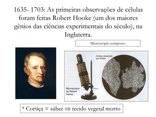 1635- 1703: As primeiras observações de células
foram feitas Robert Hooke (um dos maiores
gênios das ciências experimentais do século), na
Inglaterra.
* Cortiça = súber  tecido vegetal morto
Microscópio composto
 