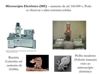 Microscópio Eletrônico (ME) – aumento de até 160.000 x. Pode-
se observar a ultra-estrutura celular.
Bactéria
Escherichia coli
- aumento de
10.000x
Piolho moderno
(Pediculus humanus)
visto ao
microscópio
eletrônico
 