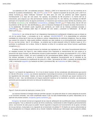 teoria celular                                                                             http://148.216.10.83/biologiaQFB1/teoria_celular.htm



                  Los substratos de CDK. Los substratos primarios CDK4/6 y CDK2 en el desarrollo de G1 son los miembros de la
          familia de la proteína retinoblastoma - RB, p107[36] y p130.[37],[38] regulan la expresión de las p130, p107 y E2F-4 en
          células humanas.[39] Estas moléculas “cercenan” los sitios para una serie de proteínas que deben regularse
          herméticamente a lo largo del ciclo celular. Por ejemplo, las proteínas de RB envuelven a la familia E2F de la
          transcripción, para asegurar que ellos permanezcan inactivos durante fase M y G0. Además, los complejos de RB-E2F
          participan en la represión activa de algunos promotores: un mecanismo que involucra a otras familias de proteínas, como
          las histonas deacetilases y los remodelares cromosomáticos, complejos SWI/SNF.[40],[41] Hasta ahora, más de 100 son
          las proteínas de RB que han sido identificadas[42], pero la relevancia fisiológica de la mayoría de estas interacciones no
          se ha establecido. RB también puede regularse por acetilación, por medió de las histonas acetilases asociadas a
          p300/CBP[43]. Estos acetilases están bajo el comando del ciclo celular y previenen la fosforilación de RB por
          CDK2-cyclin E.[44] .

                 Ciclinas tipo-D . Las ciclinas del tipo-D son integradores importantes de la señalización mitogénica pues su síntesis es
          uno de los puntos finales       y principales de la vía –pathway- RAS/RAF/MAPK[45]. Si la disponibilidad de suficientes
          cantidades de ciclinas tipo-D hace que las células se vuelvan independientes de estímulos mitogénicos. Para las células
          que carecen de ciclinas D1, éstas puede proliferar indicando que esta molécula no es terminantemente necesaria para
          G1.[46] Las tres ciclinas tipo D sin embargo, es evidente que la sobre expresión ciclina D1 facilita el paso en G1 y
          promueve la proliferación de la célula. Ciclina D. Además la ciclina D1 es esencial para formar tumores superficiales
          oncogénicos.[47]

                 El análisis molecular de tumores humanos ha mostrado que reguladores del ciclo celular frecuentemente deforman
          en neoplasia humana (ver figura X), este análisis subraya cómo importante el mantenimiento del ciclo celular en la
          prevención del cáncer humano. Las alteraciones incluyen la sobre expresión de ciclinas (principalmente D1 y E1) y CDK’s
          (principalmente CDK4 y CDK6), así como la pérdida de CKI (principalmente INK4A, INK4B y KIP1) y expresión de RB.
          Los cambios asociados a tumores en la expresión de estos reguladores frecuentemente son el resultado de las
          alteraciones del cromosoma (la amplificación de ciclina D1 o CDK4, permutación de CDK6 y supresión de proteínas INK4
          o RB) o inactivación epignética (la metilación de INK4 o promotores RB). las mutaciones en CDK4 y CDK6.[48]




          Figura 4.- La mutación de reguladores en G1 o S en el cáncer humano. Se han considerado sólo alteraciones que ocurren
          en más de 10% de los tumores. Los números representan el porcentaje de tumores con las alteraciones en cualquiera de
          los reguladores del ciclo-celular listados. Los sitios de especificidad genética o la alteración que causan tumores se ha
          definido en color rosa. Las alteraciones sin ninguna explicación mecánica se ha mantenido en amarillo. Las alteraciones
          pertinente para la prognosis del tumor se indica por los asteriscos.[49]




          Figura 5: Punto de control de restricción y transito G1-S.

               Los avances recientes en biología molecular permiten agrupar a los genes del cáncer en varias categorías de acuerdo
          a sus funciones conocidas. Una visión simplificada reduce a dos los tipos fundamentales de genes relacionados con la
          aparición del proceso tumoral: oncogenes y genes supresores.[50]

               Oncogenes. Su función normal es la regulación de las rutas de señalización de la proliferación celular, denominándose
          proto-oncogenes. Tras su alteración se activan de forma constitutiva, manteniendo la señal mitogénica permanentemente
          activa. Las funciones de cada grupo se pueden resumir siguiendo el esquema de funcionamiento de los genes normales
          de los que derivan, involucrados en la regulación de la transmisión de señales.[51] El diseño de nuevos antitumorales se
          basa precisamente en el bloqueo selectivo de su función mediante moléculas que interrumpan esta cascada de señales




8 of 12                                                                                                                            18/10/06 16:26
 