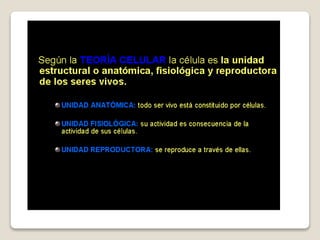 Teoria celular 2