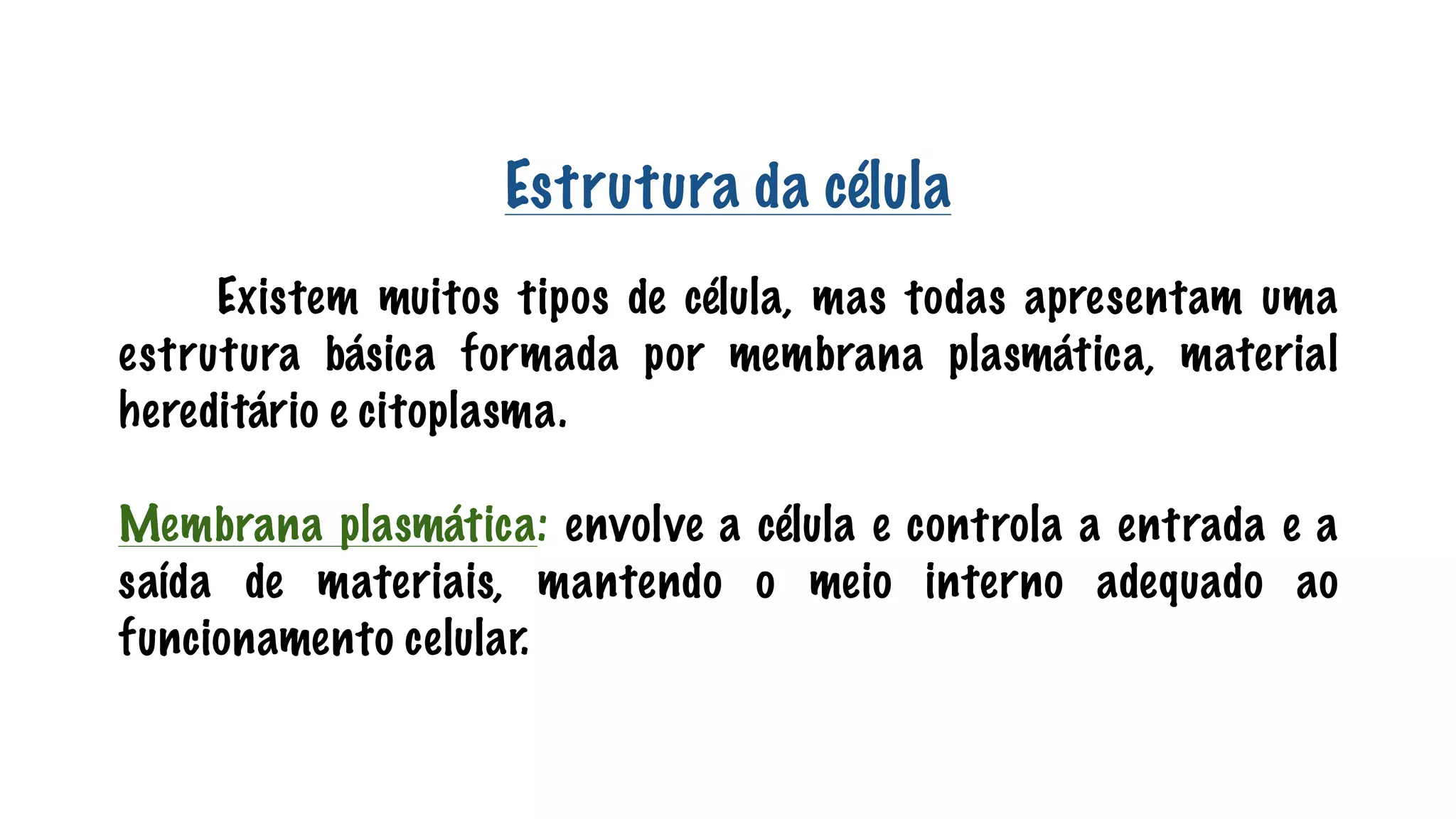 Teoria celular e niveis de organização.pdf