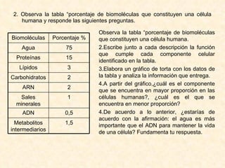 2. Observa la tabla “porcentaje de biomoléculas que constituyen una célula humana y responde las siguientes preguntas. Observa la tabla “porcentaje de biomoléculas que constituyen una célula humana. Escribe junto a cada descripción la función que cumple cada componente celular identificado en la tabla. Elabora un gráfico de torta con los datos de la tabla y analiza la información que entrega. A partir del gráfico,¿cuál es el componente que se encuentra en mayor proporción en las células humanas?, ¿cuál es el que se encuentra en menor proporción? 4.De acuerdo a lo anterior, ¿estarías de acuerdo con la afirmación: el agua es más importante que el ADN para mantener la vida de una célula? Fundamenta tu respuesta. 1,5 Metabolitos intermediarios 0,5 ADN 1 Sales minerales 2 ARN 2 Carbohidratos 3 Lípidos 15 Proteínas 75 Agua Porcentaje % Biomoléculas 