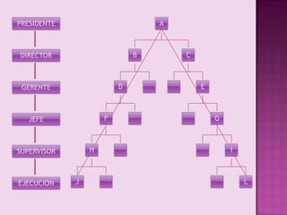 APRESIDENTEBCDIRECTORGERENTEDEJEFEFGSUPERVISORHIEJECUCIÓNJL