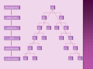 PRESIDENTE
 PRESIDENTE                           AA



DIRECTOR
 DIRECTOR                        BB        CC



 GERENTE
 GERENTE                    DD                  EE



   JEFE
    JEFE               FF                            G
                                                     G



SUPERVISOR
 SUPERVISOR        H
                   H                                     II



EJECUCIÓN
 EJECUCIÓN    JJ                                              LL
 