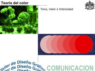 Tono, Valor e Intensidad
Teoría del color
 