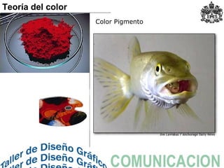 Color Pigmento
Teoría del color
 