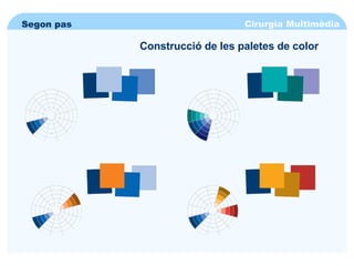 Cirurgia Multimèdia Segon pas Construcció de les paletes de color 