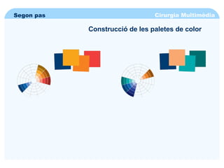 Cirurgia Multimèdia Segon pas Construcció de les paletes de color 
