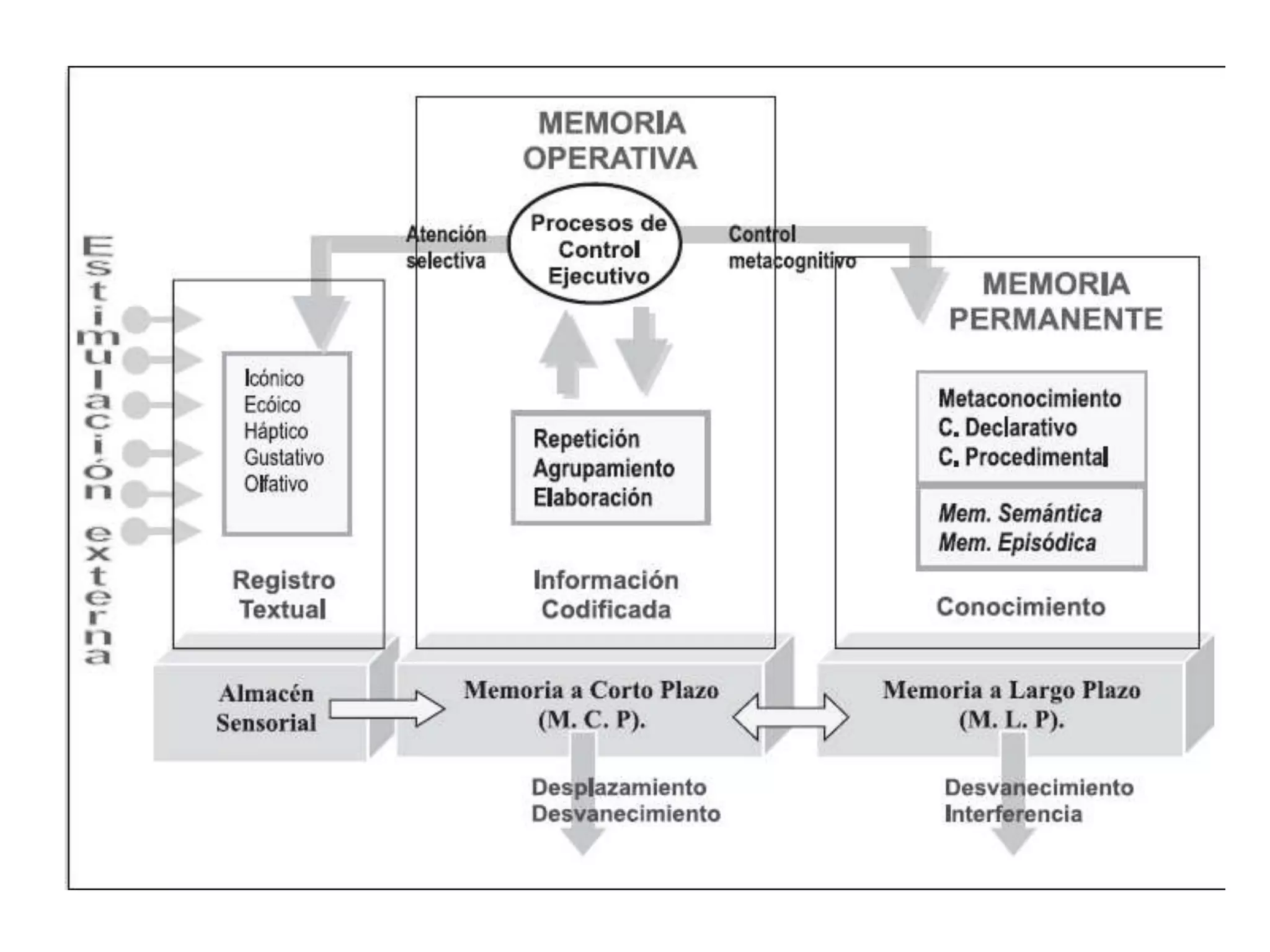 Teoria computacional de la mente PPT