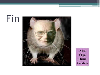 Fin

       Alba
       Olga
       Diana
      Candela
 