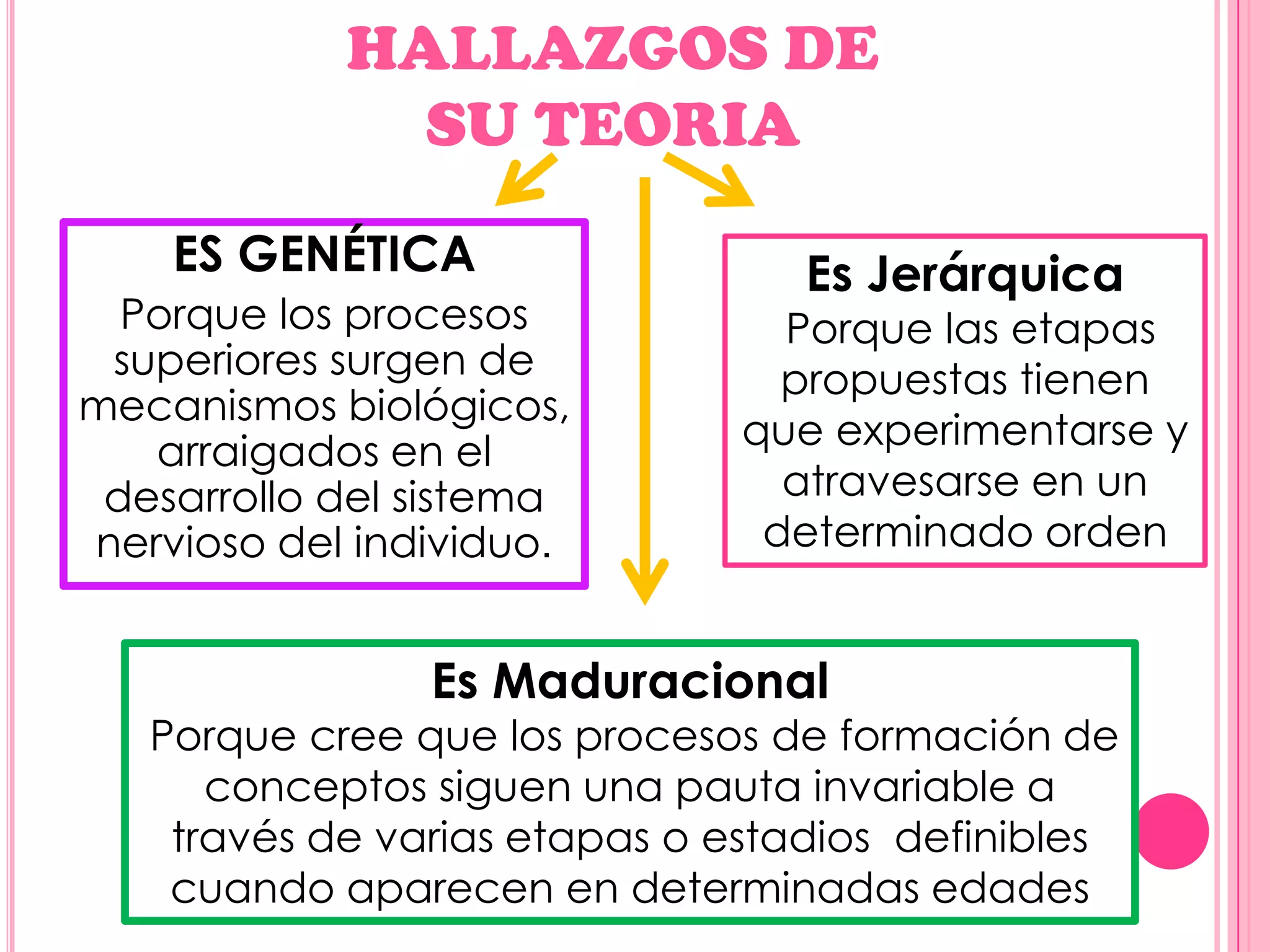 HALLAZGOS DE
SU TEORIA
ES GENÉTICA
Porque los procesos
superiores surgen de
mecanismos biológicos,
arraigados en el
desarrollo del sistema
nervioso del individuo.

Es Jerárquica

Porque las etapas
propuestas tienen
que experimentarse y
atravesarse en un
determinado orden

Es Maduracional

Porque cree que los procesos de formación de
conceptos siguen una pauta invariable a
través de varias etapas o estadios definibles
cuando aparecen en determinadas edades

 