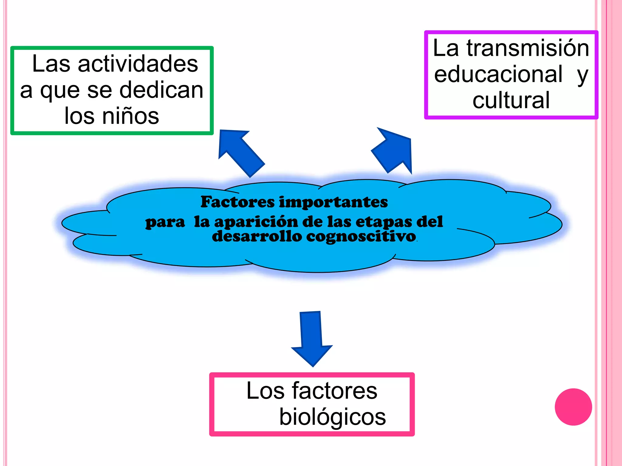 La transmisión
educacional y
cultural

Las actividades
a que se dedican
los niños

Factores importantes
para la aparición de las etapas del
desarrollo cognoscitivo.

Los factores
biológicos

 