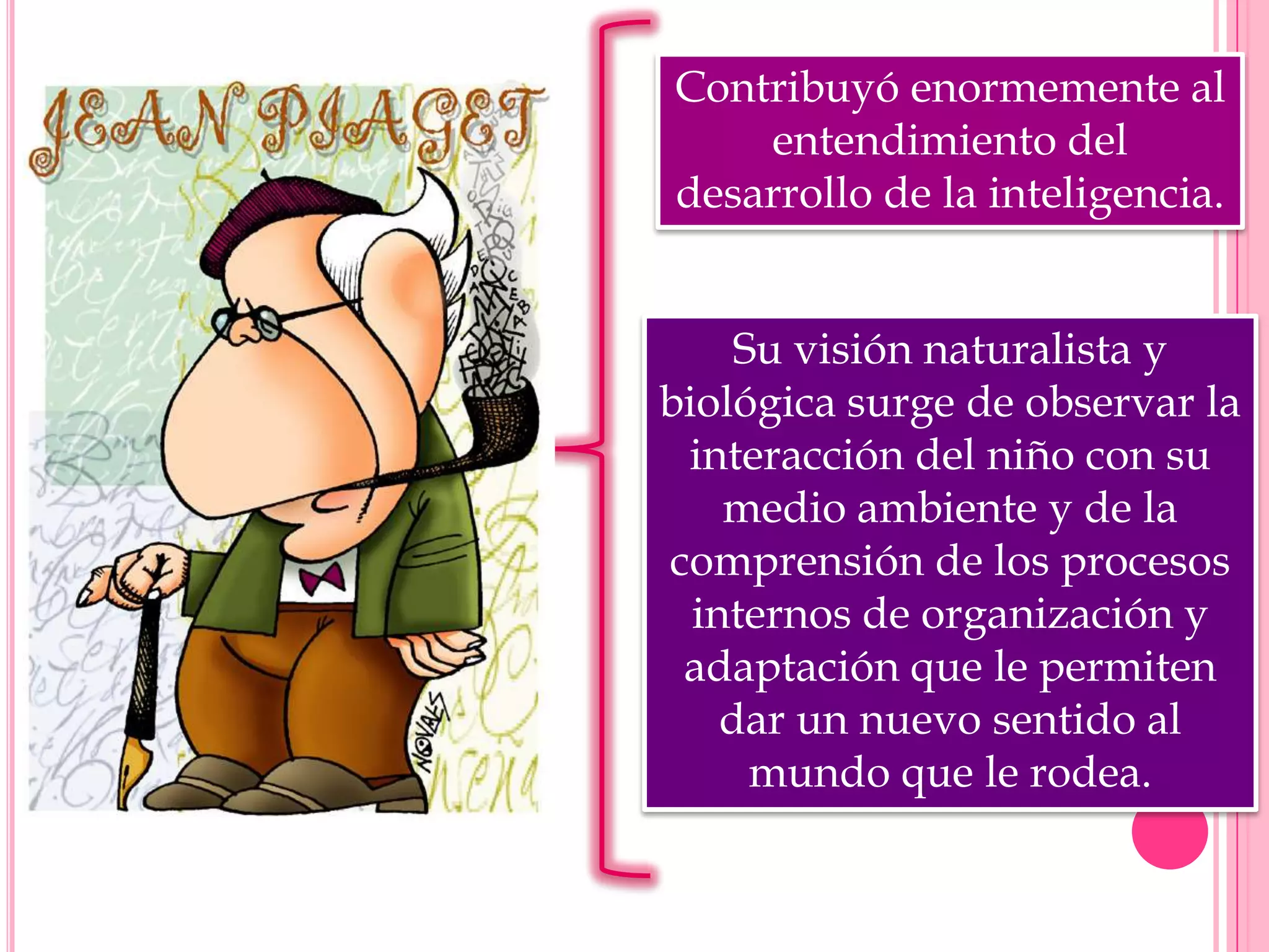 Contribuyó enormemente al
entendimiento del
desarrollo de la inteligencia.
Su visión naturalista y
biológica surge de observar la
interacción del niño con su
medio ambiente y de la
comprensión de los procesos
internos de organización y
adaptación que le permiten
dar un nuevo sentido al
mundo que le rodea.

 