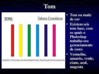 Tom
      • Tom ou matiz
        de cor
      • Existem seis
        tons base, com
        os quais o
        Photoshop
        trabalha seu
        gerenciamento
        de cores
      • Vermelho,
        amarelo, verde,
        ciano, azul,
        magenta
 