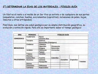 2º) DETERMINAR LA EDAD DE LOS MATERIALES : FÓSILES GUÍA


Un fósil es el resto o el molde de un Ser Vivo ya extinto o de cualquiera de sus partes
(esqueletos, conchas, huellas, excrementos (coprolitos), inclusiones de polen, hojas,
insectos u otros artrópodos).

Fósil Guía: nos define una edad geológica por su amplia distribución geográfica, su
evolución y extinción rápida. Para ello es importante saber el tiempo geológico
 